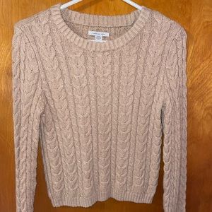 American eagle sweater